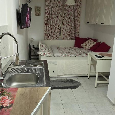 Heart Of Belgrade Cozy Lux Apartment エクステリア 写真